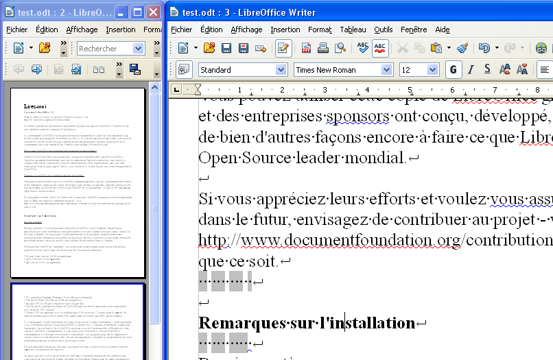 Het document met miniatuurpagina's er naast