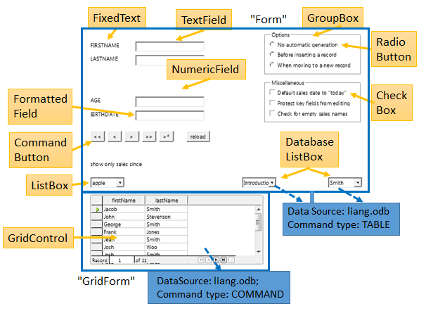 SDK 40-Building a Form-1.png