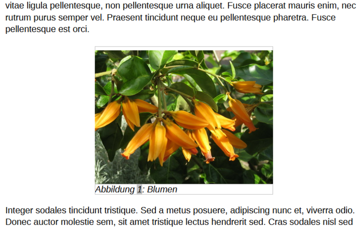 Image inserted centered in the document