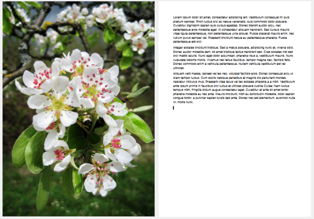Image inserted full page