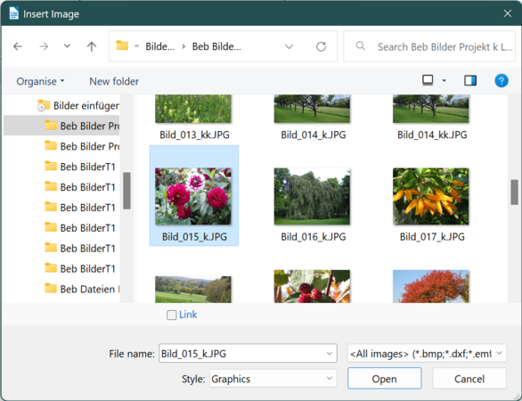 "Insert Image" dialog