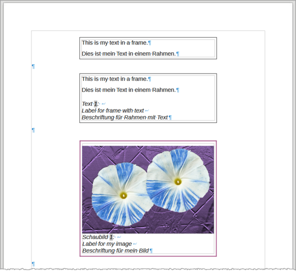 Frame in Writer - The Document Foundation Wiki