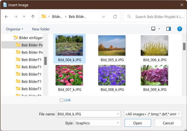 "Insert Image" dialog (Bild_004_k.JPG)