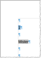 Doc with Variable and Conditional Text "Mister"