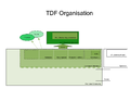 TDF organisation chart-0.1.png