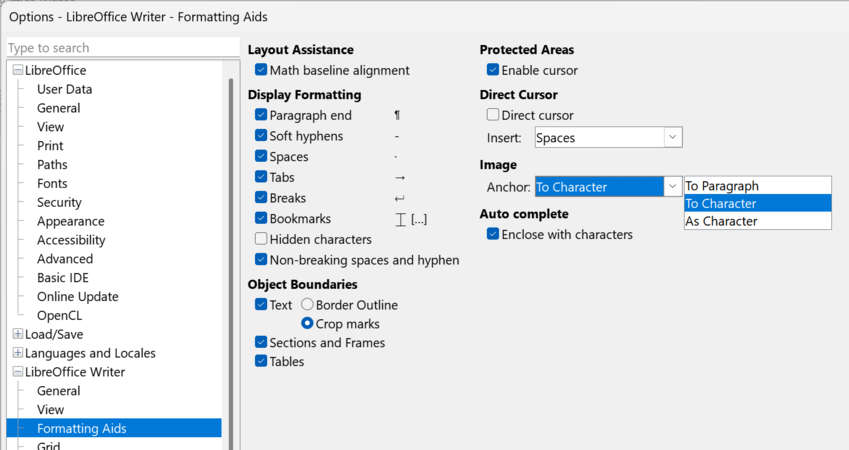 Preliminary setting "Anchor" in the "Options" Dialog
