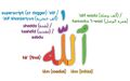 Arabic writing of Allah